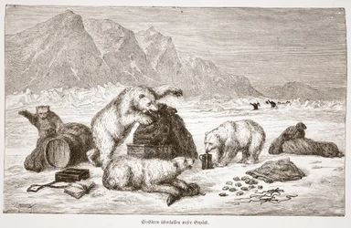 Eisbären überfallen unser Gepäck (Poolberen vallen onze bagage aan) pub. Wenen 1876