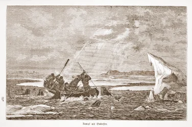 Gevecht met walrus, 1876