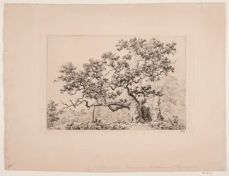 De Koningseik