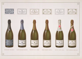 Soorten champagne en mousserende wijn