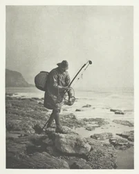 Garnaalvissen