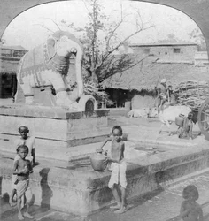 Een olifantenfontein, Madura, India, 1901