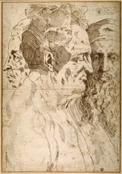 Drie mannelijke hoofden naast elkaar