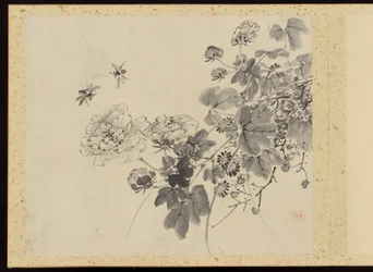 "Verfijnde elegantie in de vier seizoenen" (Shiji seiga), Album van bloemschilderijen