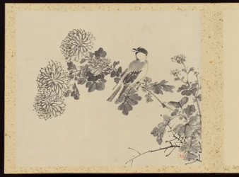 "Verfijnde elegantie in de vier seizoenen" (Shiji seiga), Album van bloemschilderijen
