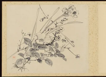 "Verfijnde elegantie in de vier seizoenen" (Shiji seiga), Album van bloemschilderijen