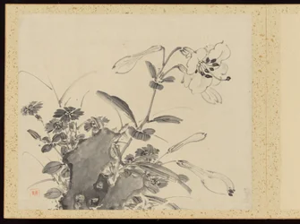 "Verfijnde elegantie in de vier seizoenen" (Shiji seiga), Album van bloemschilderijen
