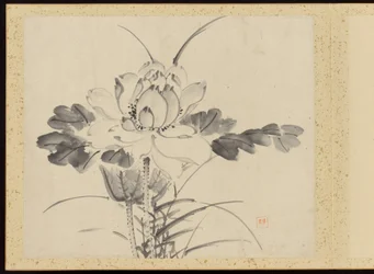 "Verfijnde elegantie in de vier seizoenen" (Shiji seiga), Album van bloemschilderijen
