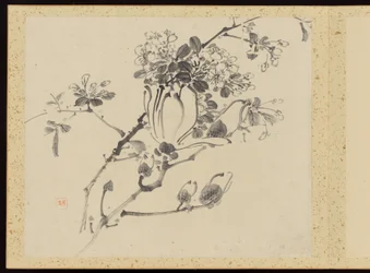 "Verfijnde elegantie in de vier seizoenen" (Shiji seiga), Album van bloemschilderijen