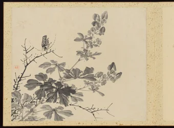 "Verfijnde elegantie in de vier seizoenen" (Shiji seiga), Album van bloemschilderijen