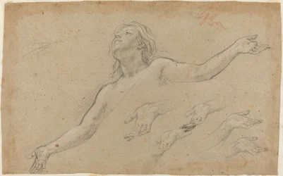 Hemelvaart van de Magdalena