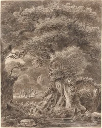 Muzikanten die door een Bos Reizen