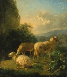 Schapen, eind 18e-begin 19e eeuw