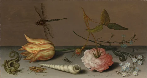 Een tulp, een anjer, een tros vergeet-mij-nietjes, met een schelp, een hagedis en een sprinkhaan, op een richel, een libel in vlucht