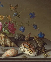 Bloemen, schelpen en insecten op een stenen richel