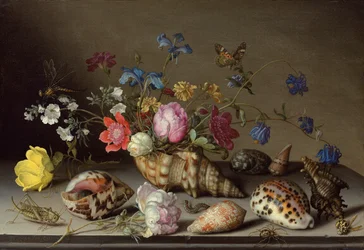Bloemen, schelpen en insecten op een stenen richel