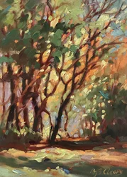 Schaduwlaan, ca. 1990-2000