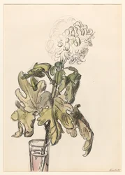 Bloeiende chrysant, in een vaasje