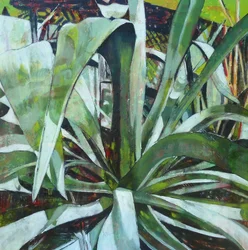 Weelderig groene agave