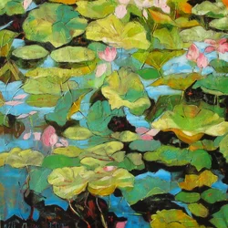Rustige waterlelies