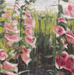 Kleurrijke bloemen in de tuin