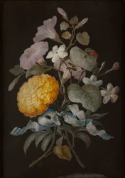 Set van vier stillevens met vlinders