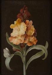 Set van vier stillevens met vlinders