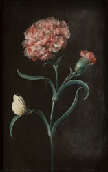 Set van vier stillevens met vlinders