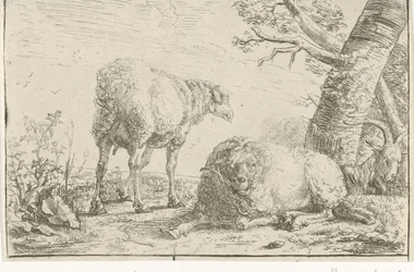 Twee schapen en een geit