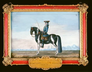 Nr. 8 Een bont paard en ruiter, van de Spaanse Rijschool, het paard behoorde toe aan de overleden Prins van Schwartzenberg, stalmeester van Keizer Karel VI