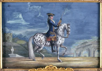 Nr. 11 Een appaloosa paard van de Spaanse Rijschool, van de Keizerlijke stoeterij in Bohemen