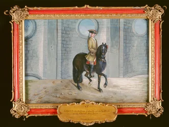 Nr. 17 Een donkerbruin paard van de Spaanse Rijschool dat een schouder-in dressuurstap uitvoert