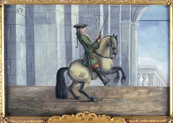 Nr. 27 Een grijs paard van de Spaanse Rijschool dat een dressuurbeweging genaamd de Levade uitvoert