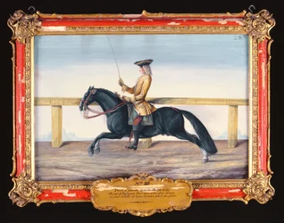 Nr. 28 Een zwart Spaans paard van de Spaanse Rijschool dat een dressuurbeweging uitvoert