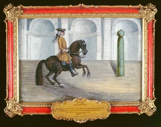 Nr. 33 Een Spaans paard van de Spaanse Rijschool die een dressuurbeweging uitvoert
