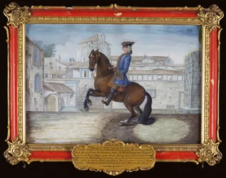 Nr. 35 Een Barbarijse baai paard van de Spaanse Rijschool die een dressuurbeweging uitvoert op het St. Marksplein, Florence