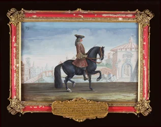 Nr. 39 Le Superbe, een paard van de Spaanse Rijschool dat een dressuurbeweging genaamd de Piaffe uitvoert