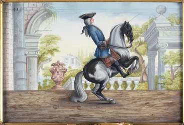 Nr. 41 Een bont paard van de Spaanse Rijschool die de Pesade uitvoert