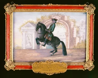 Nr. 42 Agrable, een donkerbruin paard van de Spaanse Rijschool die een dressuurbeweging genaamd een Curvet uitvoert