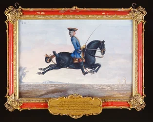 Nr. 50 Een gitzwart paard genaamd Curioso dat een dressuurbeweging uitvoert die capriole wordt genoemd