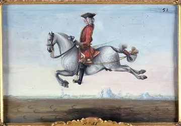 Nr. 51 Een schimmel van de Spaanse Rijschool dat een dressuurbeweging genaamd de Capriole uitvoert