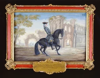 Nr. 52 Le Bienvenu, een donkerbruin paard van de Spaanse Rijschool dat een dressuurbeweging uitvoert