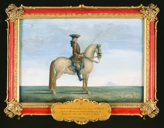 Nr. 9 Een grijs paard van de Spaanse Rijschool, uit de stoeterij van de graaf van Kaunitz in Bohemen