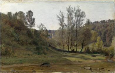 Beekje in de weide