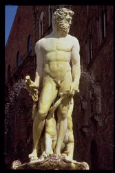 De Neptunusfontein (detail)