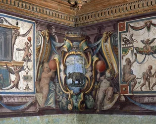 De Sala del Granduca di Toscana detail van de fries met de tekens van de dierenriem, de neushoorn (detail)