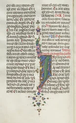 Missale: Fol. 22v: Bladornament met vis