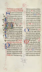 Missale: Fol. 324v: Sint Martinus, 1469