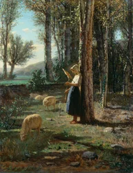 Herderin met kudde schapen