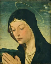 Hoofd en handen van een aanbiddende Madonna (Fragment), ca.1477-78 (tempera op populierenhout)